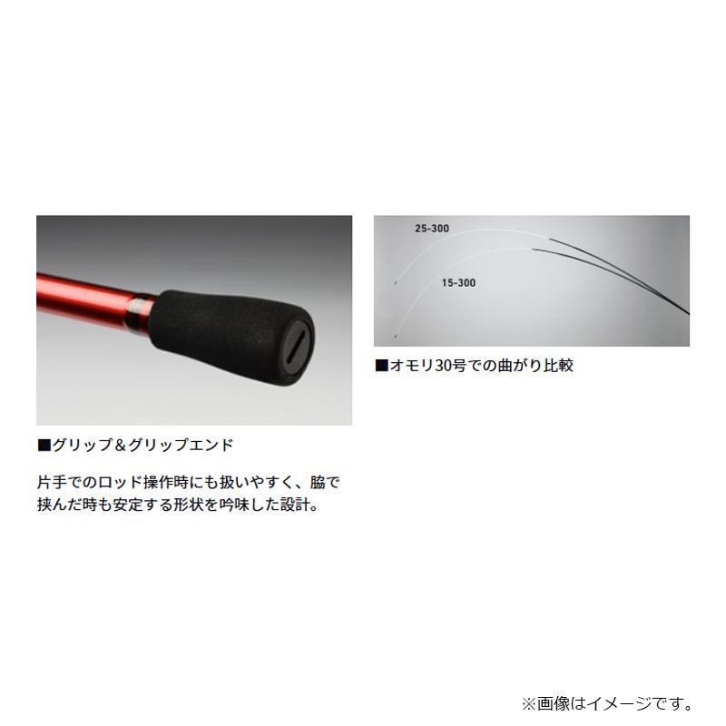 DAIWA（ダイワ） アナリスター 瀬戸内インターライン 25-330 25-330