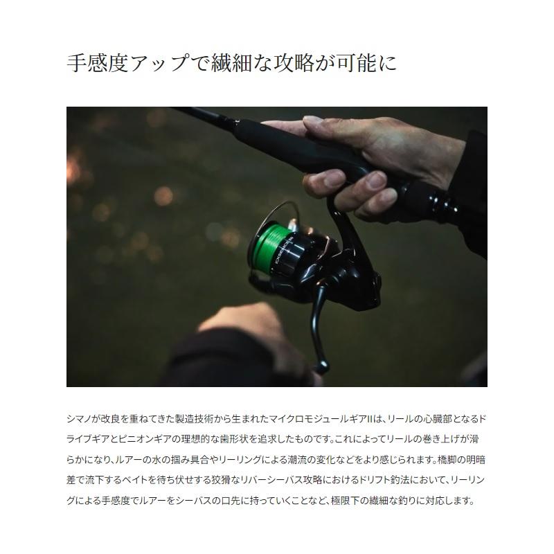 シマノ（SHIMANO） 24エクスセンスBB 3000MHG / シーバス ルピニング