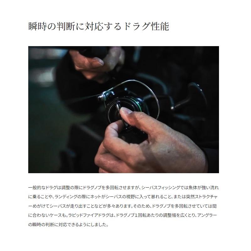 シマノ（SHIMANO） 24エクスセンスBB 4000MXG / シーバス ルピニング