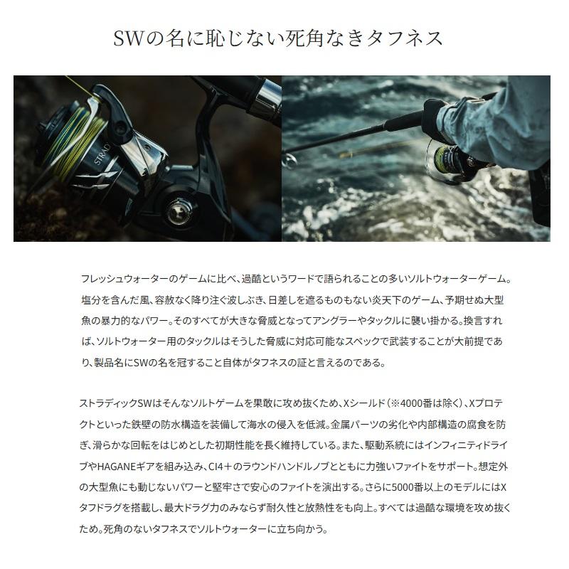 シマノ（SHIMANO） 24ストラディック SW 6000PG / スピニングリール