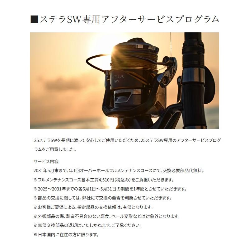 シマノ（SHIMANO） 25ステラSW 8000HG / ジギング スピニング リール