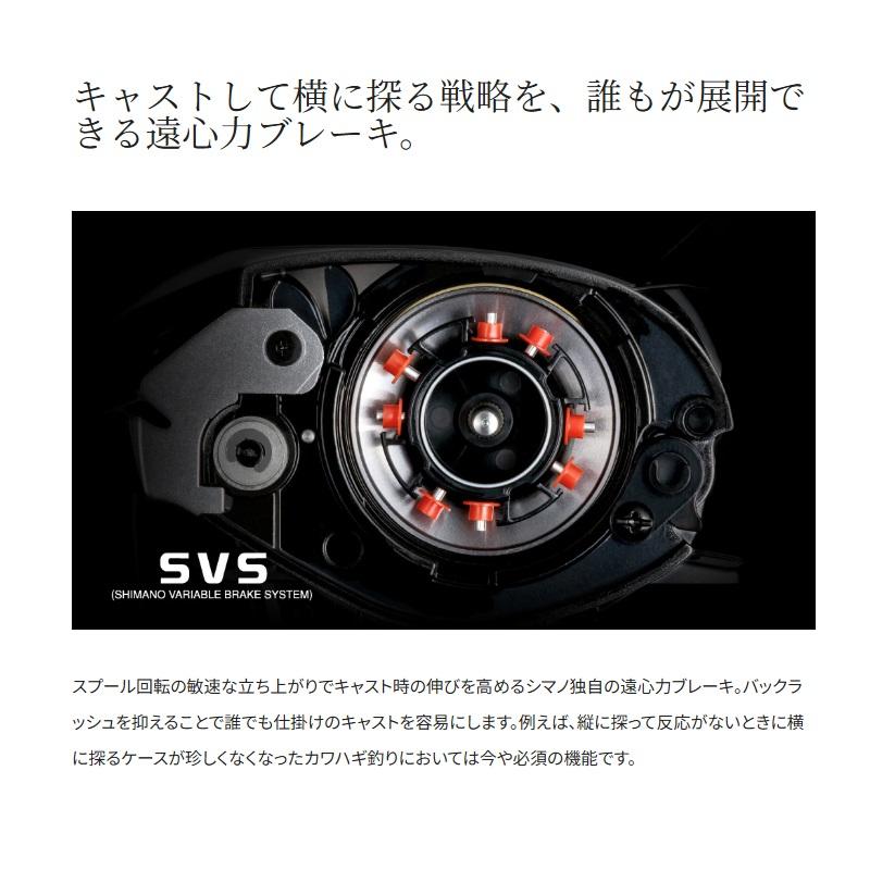 シマノ（SHIMANO） 25スティーレ101XG / 船 両軸 ベイト リール 左巻