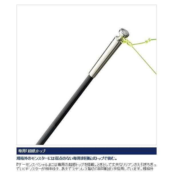 シマノ（SHIMANO） スーパーゲームスペシャル サーモンZP 83-89 : 釣具