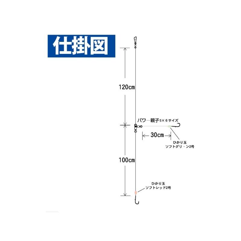 ハヤブサ　SE682 アマダイ フロロ 丸海津ケン付き 2本鈎2セット 13-3 |  | 01