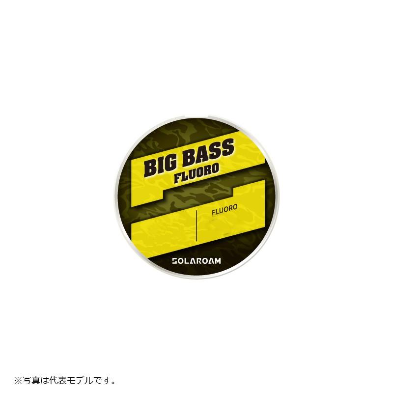 東レ ソラローム BIGBASSフロロ 16LB : 釣具のFTO ヤフー店 - 通販