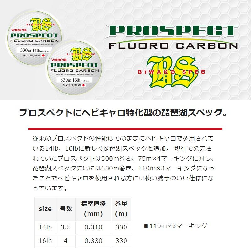 びわこ Valleyhill バレーヒル プロスペクトフロロ BIWAKO SPEC 330m