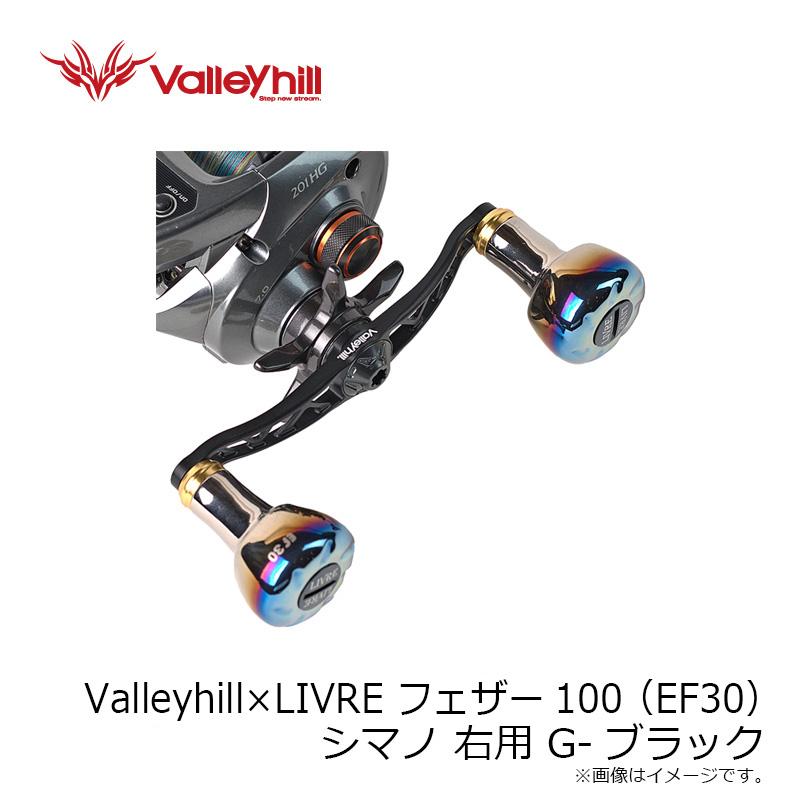 バレーヒル　Valleyhill×Livre フェザー100(EF30) シマノ 右用 G-ブラック｜yfto2｜03