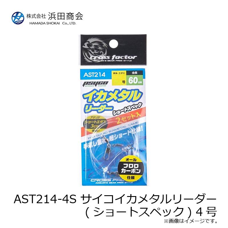 浜田商会 AST214-4S サイコイカメタルリーダー (ショートスペック) 4号