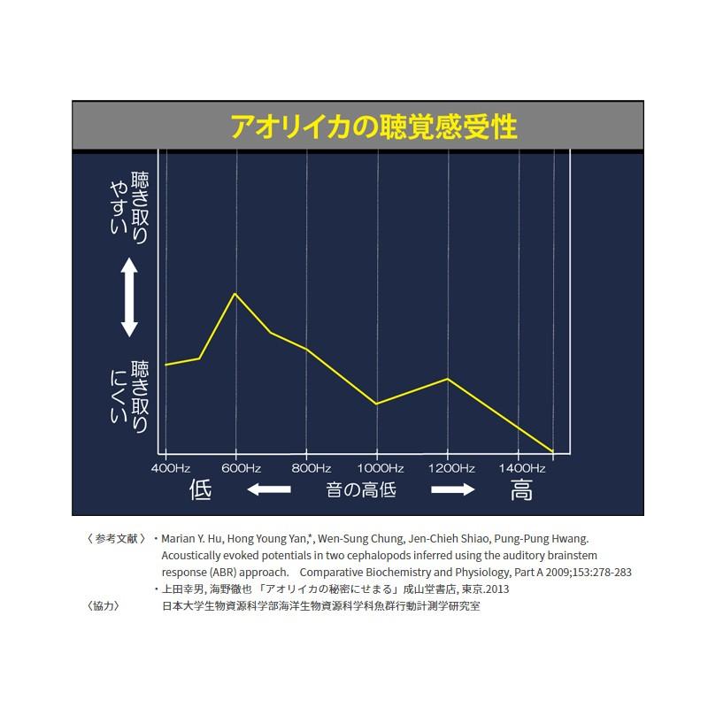 大人女性の ヤマシタ エギ王 Live サーチ 2 5 032 ピンクレッド エギ 19年 新製品 エギング 定番 アオリイカ Karolinemedeiros Com Br