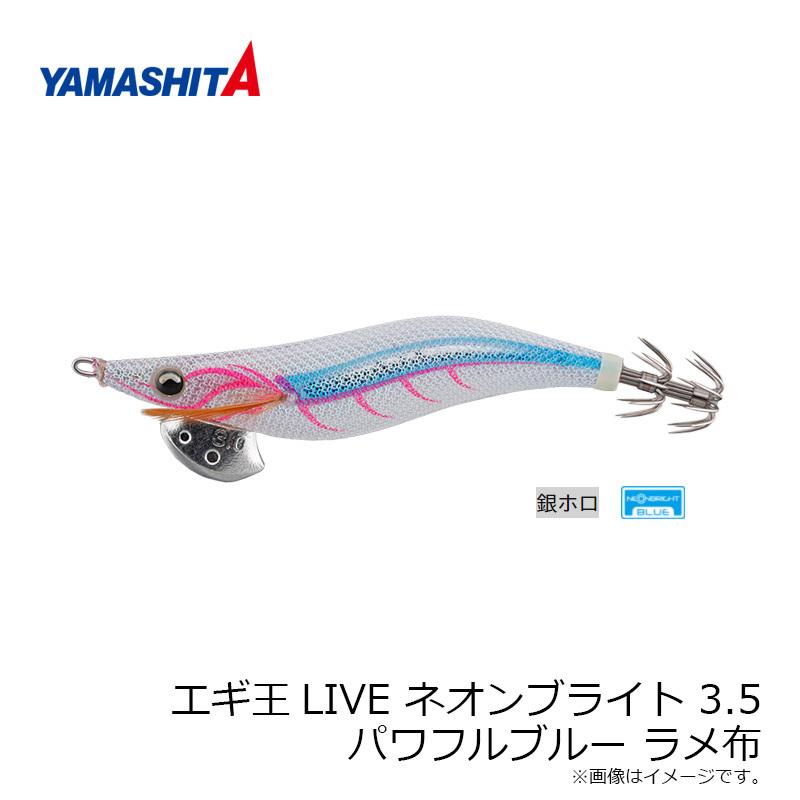 エギ王等全てブランドエギ32個セット&小物セット