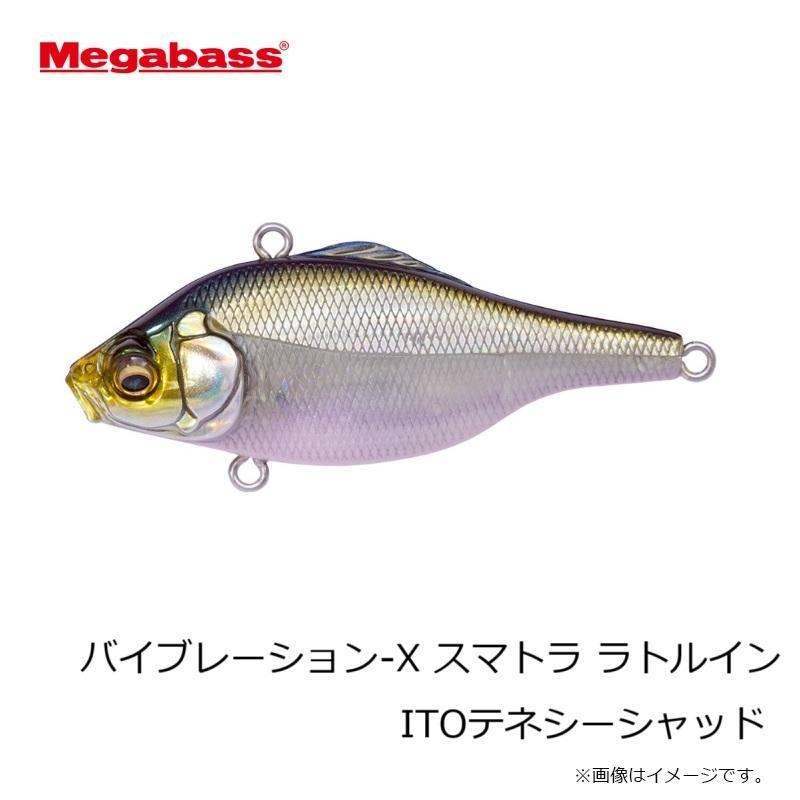 Megabass（メガバス） バイブレーション-X スマトラ ラトルイン HT ITO