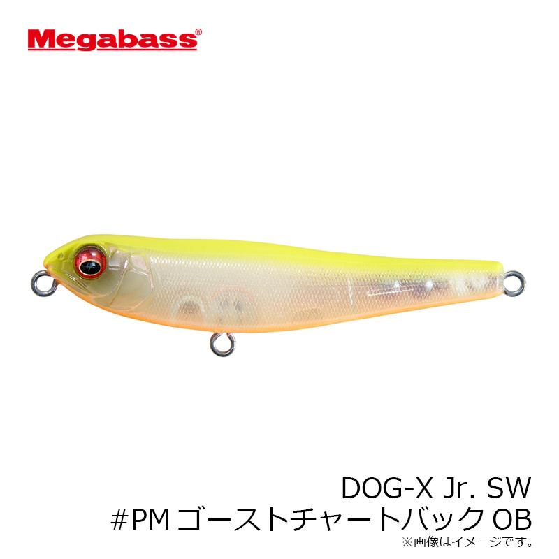 Q　dog x レッドヘッド Q dog x レッドヘッド Q dog x レッドヘッド リスペクトカラー第7弾VR