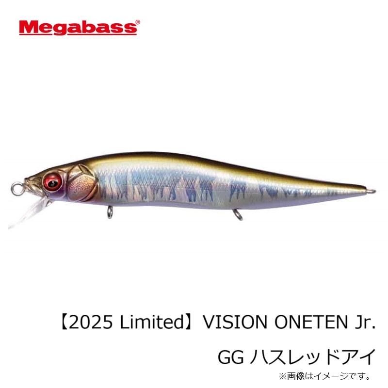 Megabass（メガバス） VISION ONETEN Jr. ビジョンワンテンJr. GG ハ