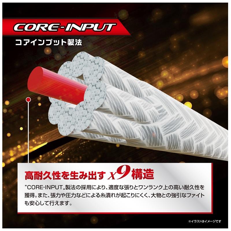 VARIVAS（バリバス） アバニジギング10×10マックスパワーPE X9 600m 2