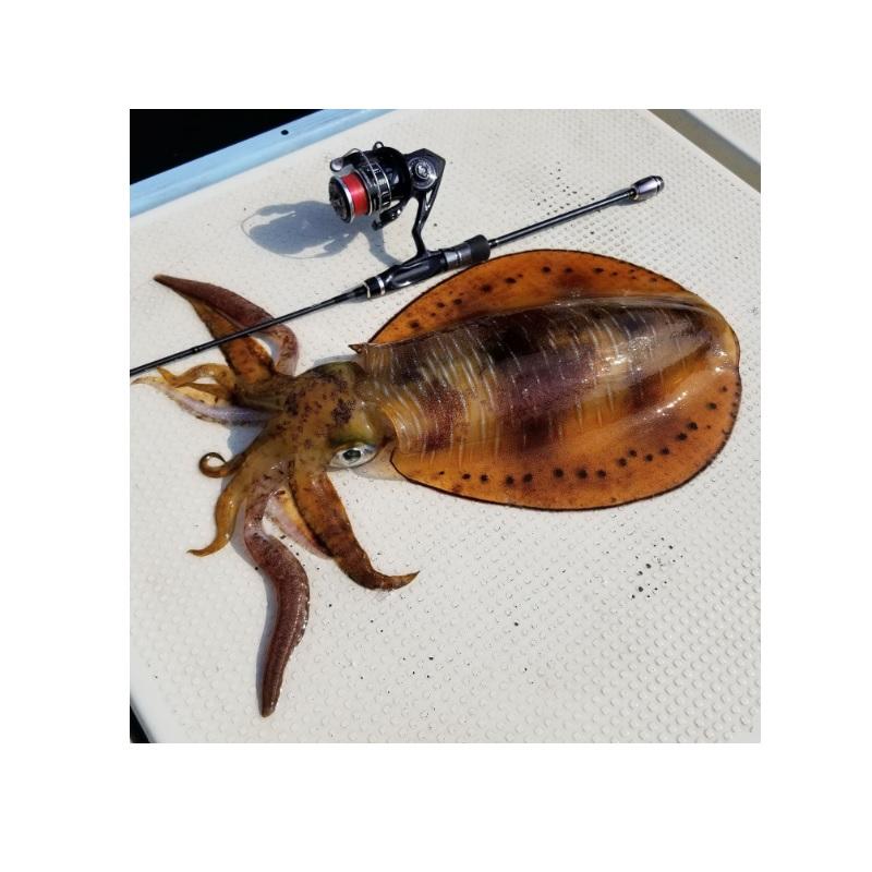 エイテック スピーキー 2500S XGX : 釣具のFTO - 通販 - Yahoo