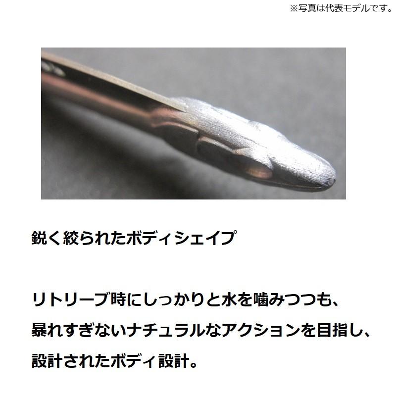 JACKALL（ジャッカル） ビッグバッカー107 ブルピングローストライプ