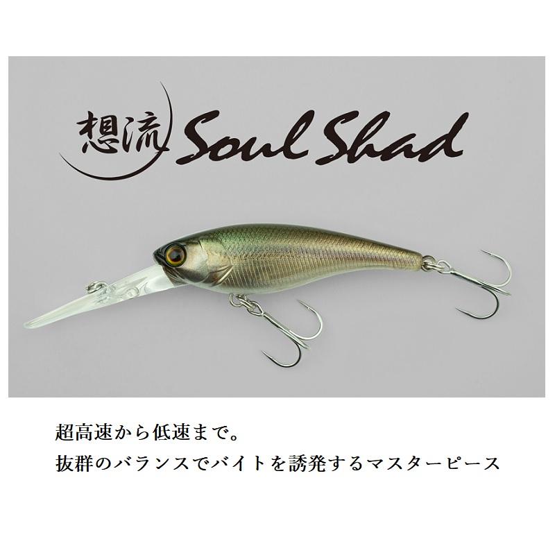 JACKALL（ジャッカル） ソウルシャッド62DR SP カスミクリアアップ