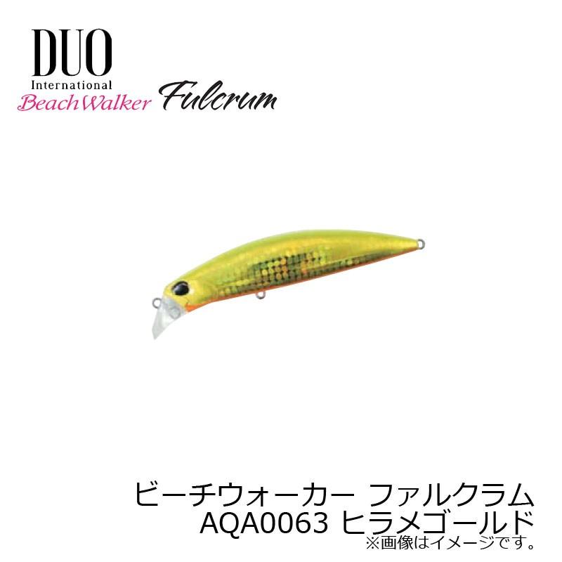 DUO（デュオ） ビーチウォーカー ファルクラム 95 AQA0063 ヒラメ