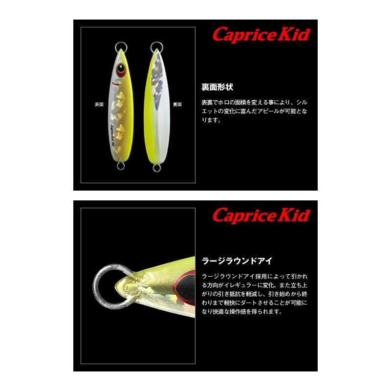 EverGreen（エバーグリーン） カプリスキッド 50g CP12 ホログラム