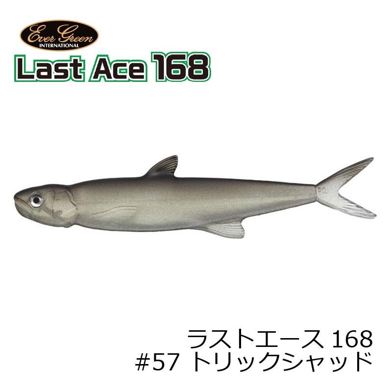 EverGreen（エバーグリーン） ラストエース 168 #57 トリックシャッド