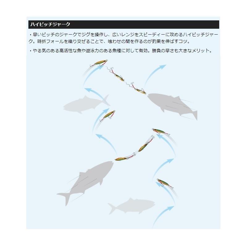 EverGreen（エバーグリーン） カプリスネオ 180g #CP16 シルバー