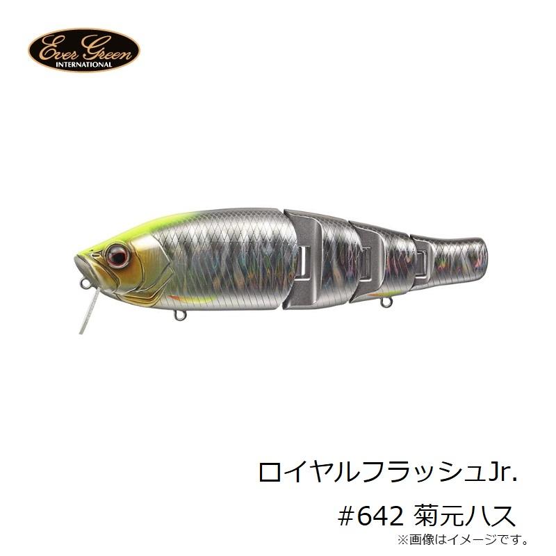 EverGreen（エバーグリーン） ロイヤルフラッシュJr.#642 菊元ハス