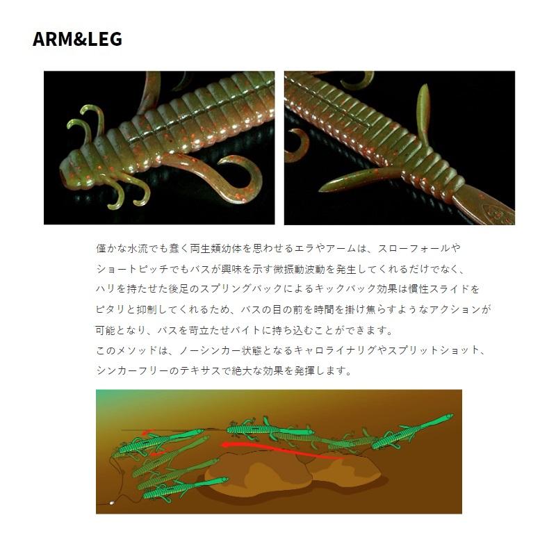 デプス　デスアダーリザード　ブラック　新品セット deps デプス デスアダーリザード 8インチ #06 ブラック #06