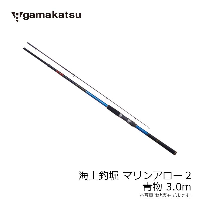 がまかつ　海上釣堀 マリンアロー2 青物 3.0m｜yfto｜04