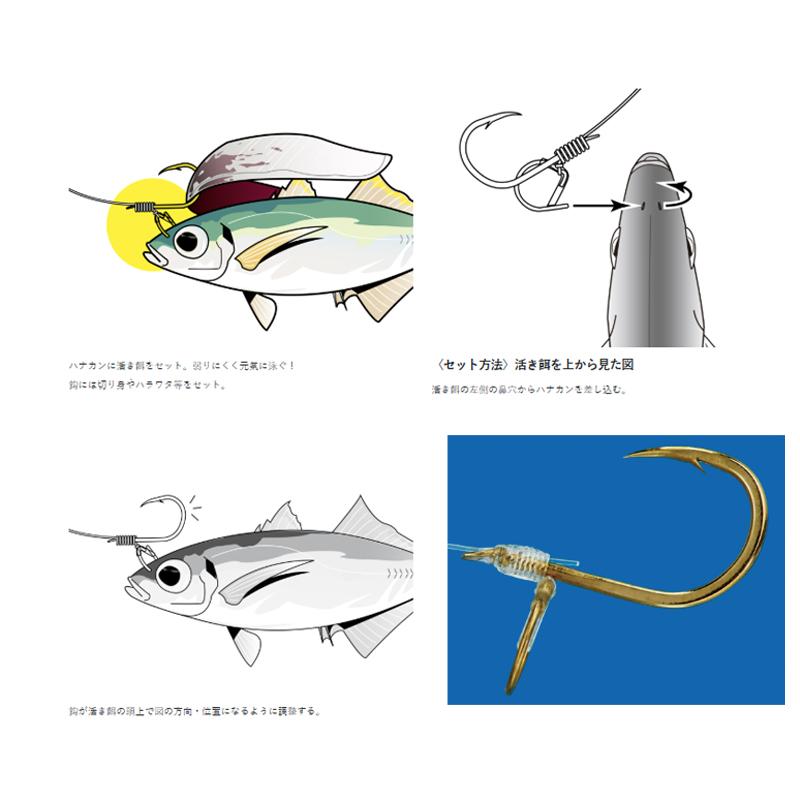 掛軸 北上聖牛 金魚 共箱 6-15 Gamakatsu（がまかつ） 60-242 糸付 海上釣堀M-BOX 青物泳がせ