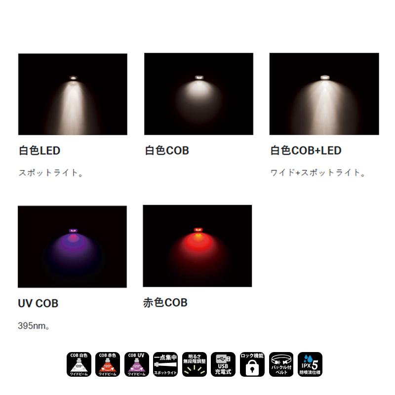 Gamakatsu（がまかつ） LEHL510 ヘッドライト : 釣具のFTO - 通販