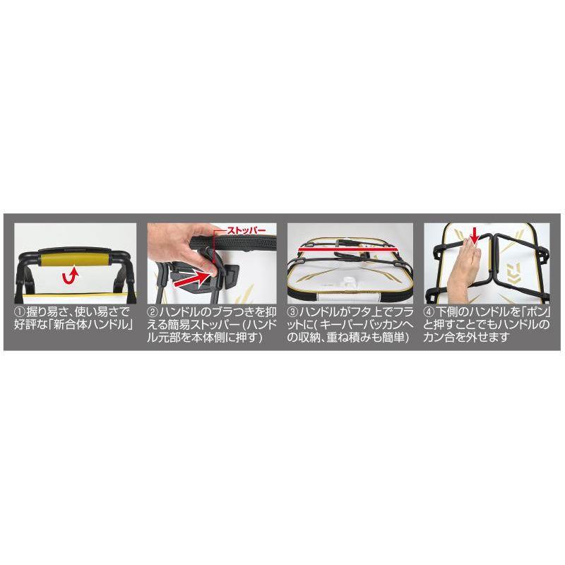 DAIWA（ダイワ） トーナメント ハードバッカンFH36（C） ブラック / 磯