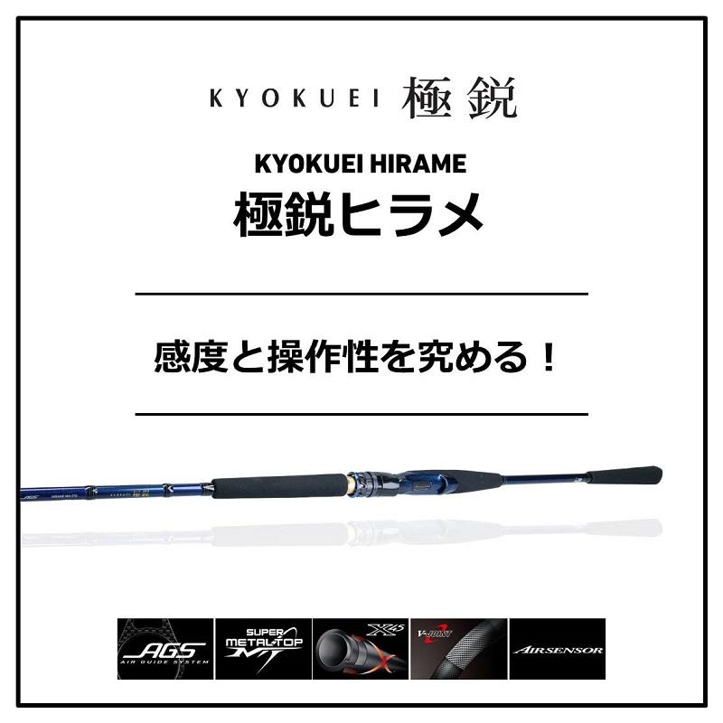ダイワ　極鋭ヒラメ　MH-240R Amazon | ダイワ(DAIWA) 船竿 極鋭ヒラメ M-240・K | ダイワ