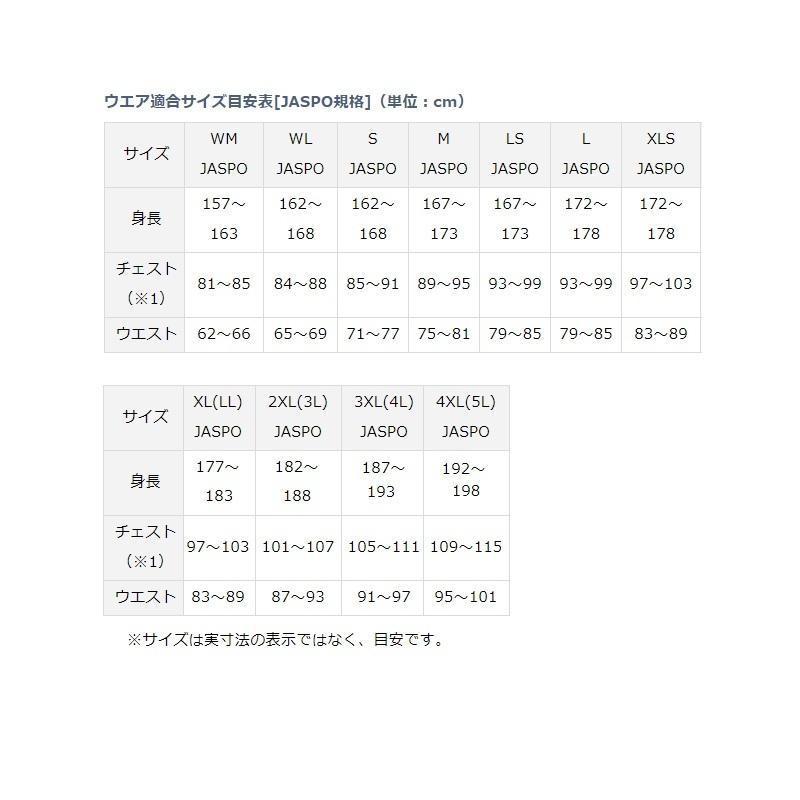 DAIWA（ダイワ） DW-1920 ゴアテックスプロダクトウィンタースーツ XL