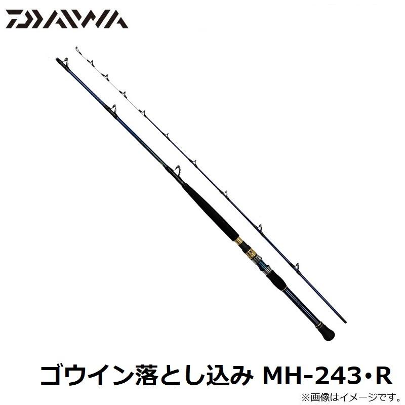 DAIWA（ダイワ） ゴウイン落とし込み MH-243・R : 釣具のFTO - 通販