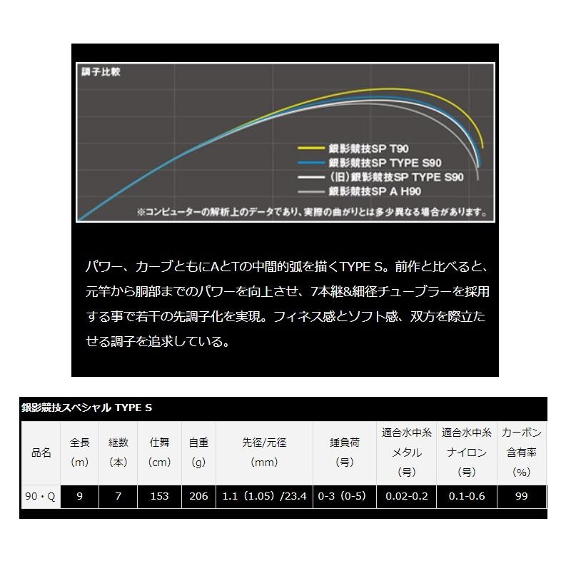 DAIWA（釣り） ダイワ 銀影競技スペシャル TYPE S 90・Q【大型2