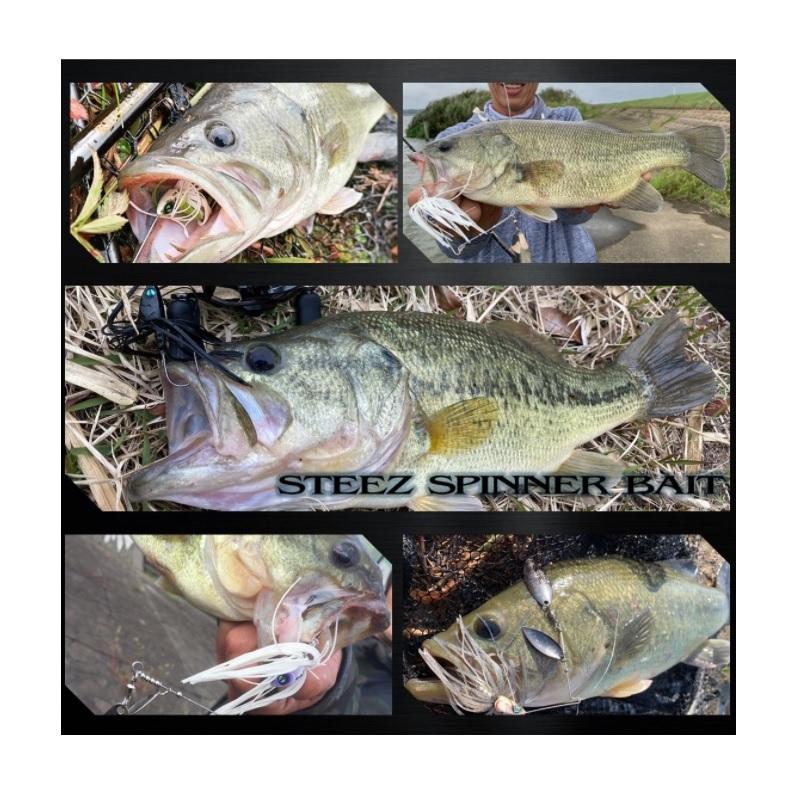 DAIWA（ダイワ） スティーズスピナーベイト 5/8oz DW シルバーホワイト