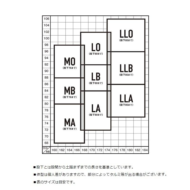 DAIWA（ダイワ） SP-4050P20 スペシャルパンチングタイツ アクティブ
