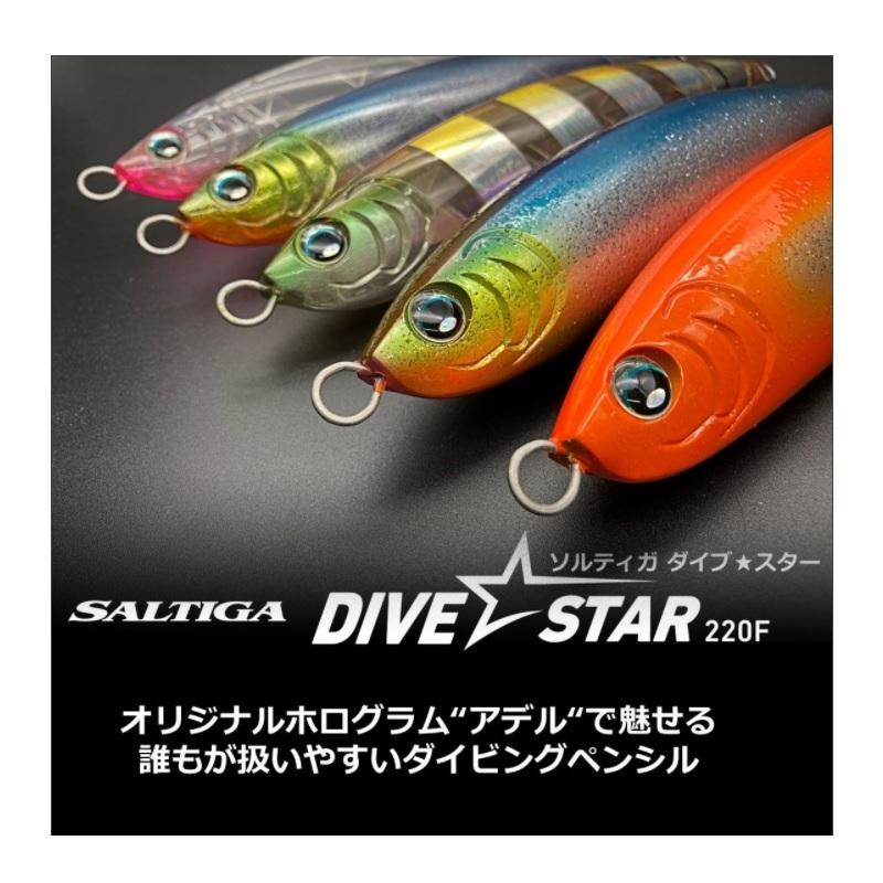 ダイワ、ソルティガ、ドライブスター220F.早い者勝ち、トップ
