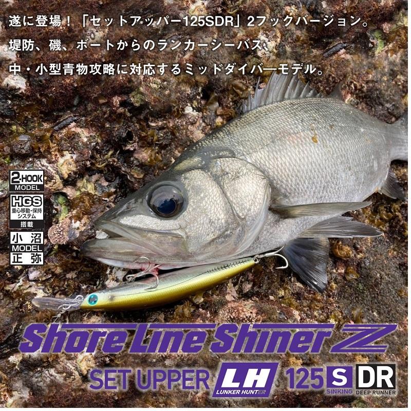 ダイワ　ショアラインシャイナーZ セットアッパーLH 125SDR 外洋カタクチ｜yfto｜02