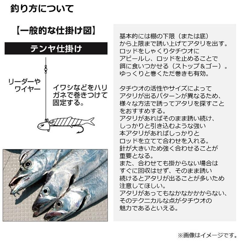 DAIWA（ダイワ） テンヤタチウオ X 91-180・R : 釣具のFTO - 通販