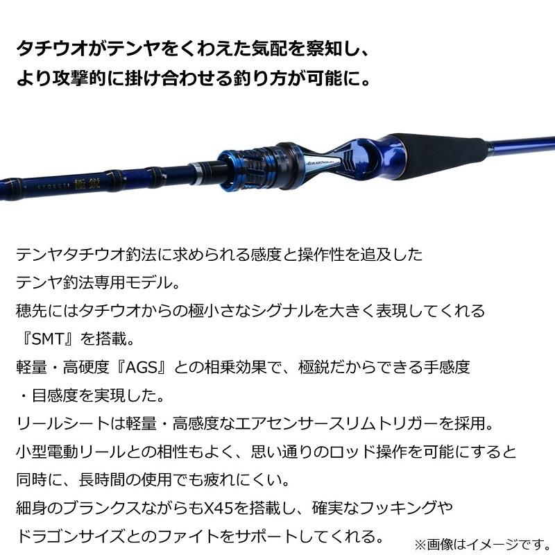 DAIWA（ダイワ） 極鋭タチウオTSP 91H-165AGS : 釣具のFTO - 通販