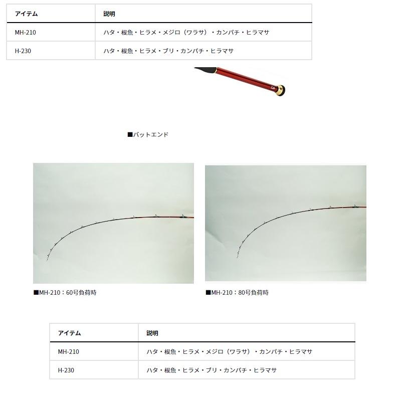 DAIWA（釣り） ダイワ ゴウイン ネモノ MH-210 / 船 竿 : 釣具の