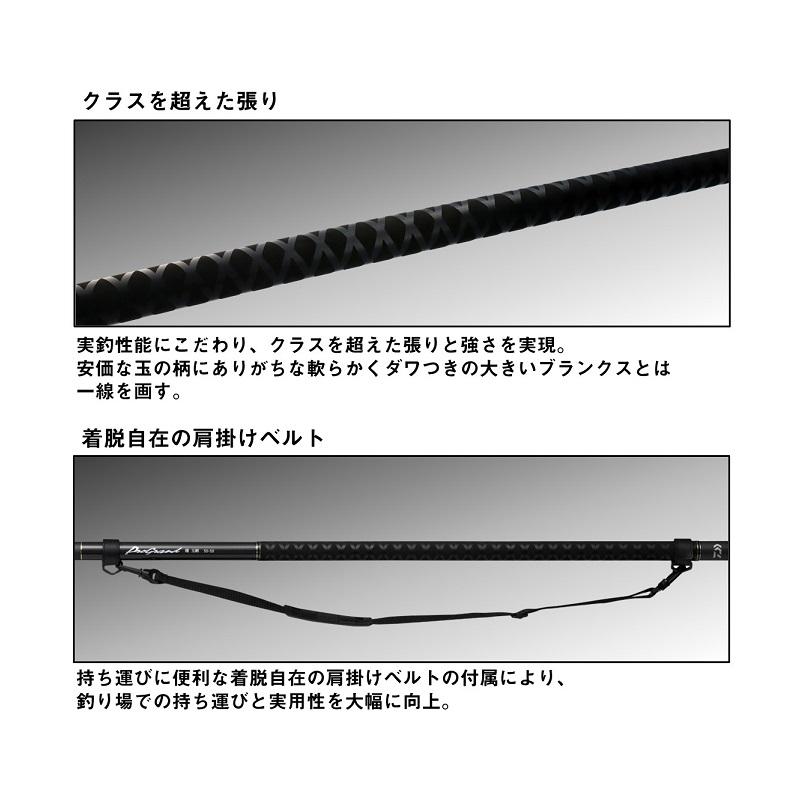 DAIWA（ダイワ） プログランド磯玉網 50-55・W / 磯 波止 玉の柄 アミ