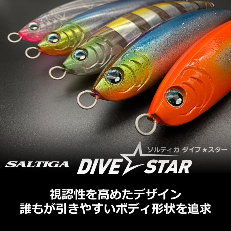 DAIWA（ダイワ） ソルティガ ダイブスター 190F スケルトン