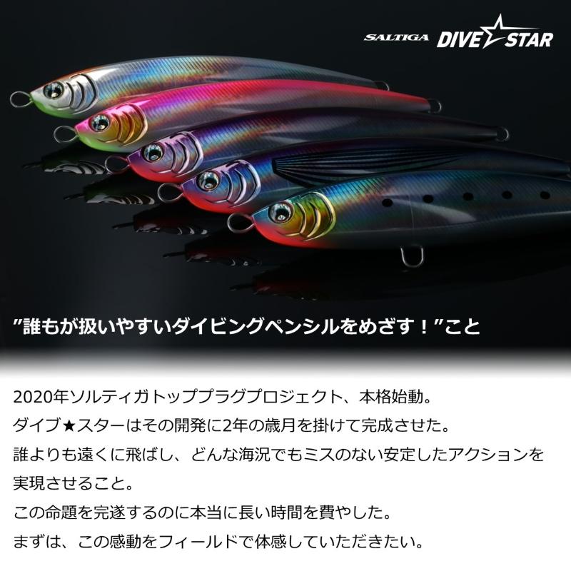 DAIWA（ダイワ） ソルティガ ダイブスター 190F スケルトン