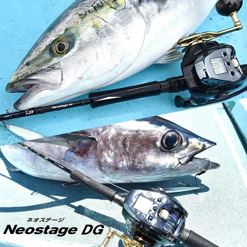 DAIWA（ダイワ） ネオステージ DG J60B-6 / 電動 ジギング ロッド