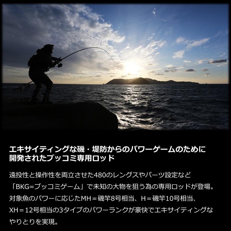 DAIWA（釣り） ダイワ バトルゲーム ブッコミゲーム T MH480 : 釣具の 