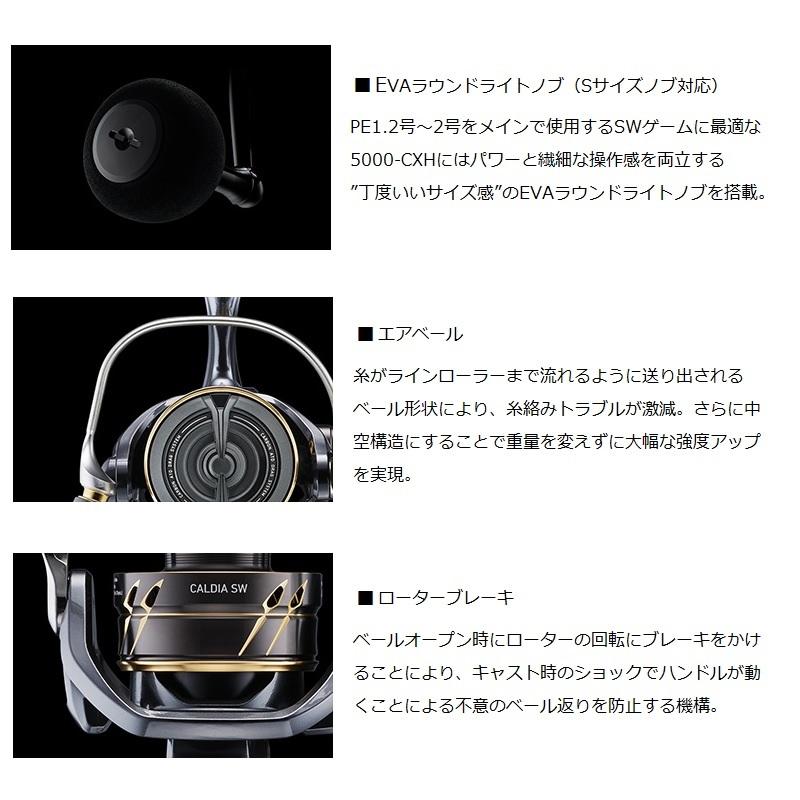 DAIWA（釣り） ダイワ 23カルディアSW 10000-P : 釣具のFTO - 通販 