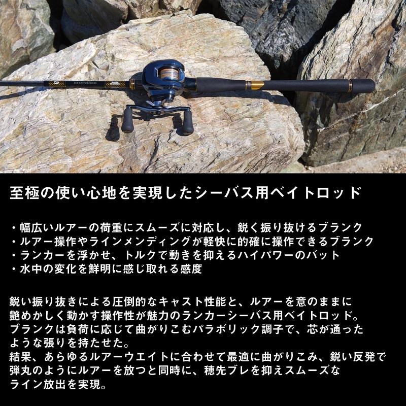 DAIWA（ダイワ） モアザン ブランジーノ EX AGS 80HB : 釣具のFTO