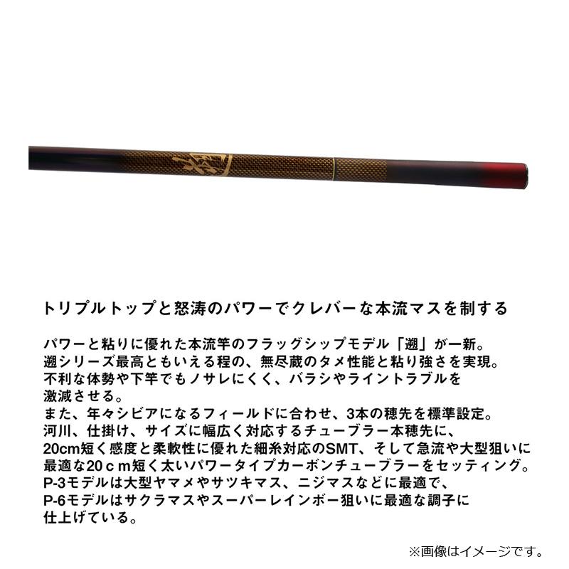 DAIWA（ダイワ） 遡 P-10 85 / 渓流 本流 竿【大型2】 : 釣具のFTO